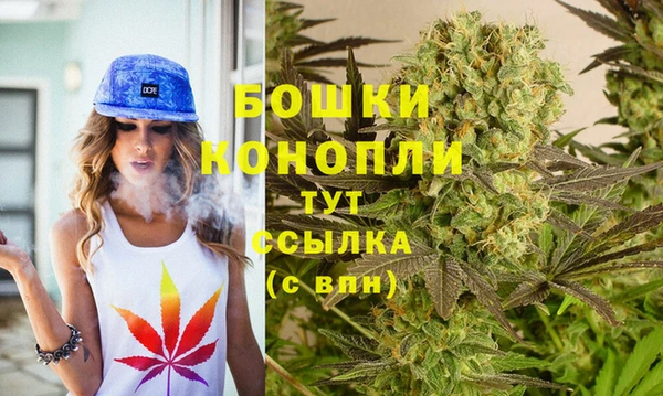 индика Надым